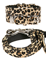 Leopard Print Fabric Collar & Lead Set - Our Faux Leopard collar and lead set is a contemporary animal print style and is right on trend. It is lightweight and incredibly strong. The collar has been finished with chrome detailing including the eyelets and tip of the collar. A matching lead, harness and bandana are available to purchase sep...